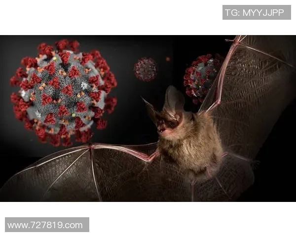 皇马与矿工对决新冠疫情影响下的足球赛事回顾与分析